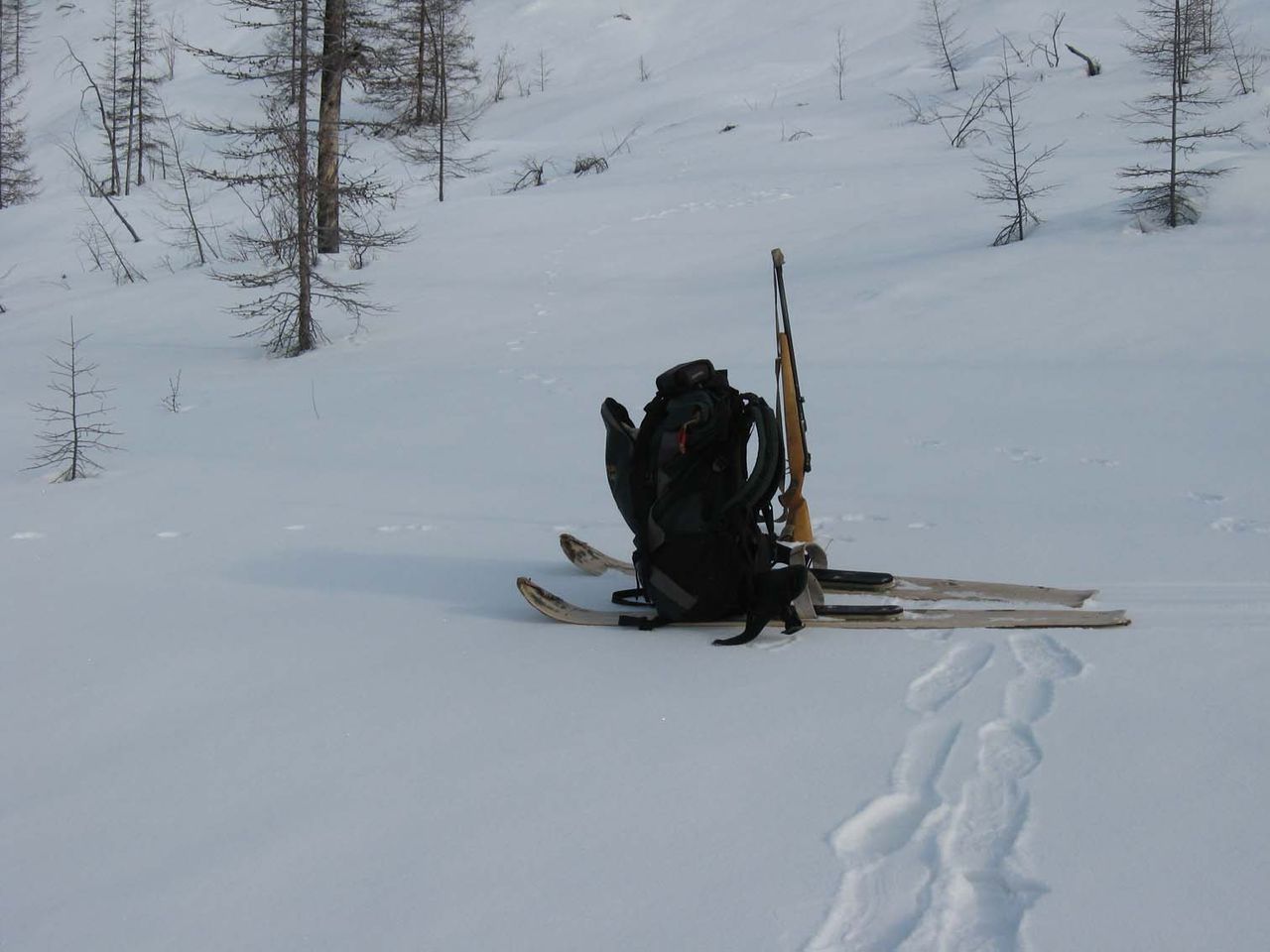 Лыжи "Таежные" деревянные (осина)