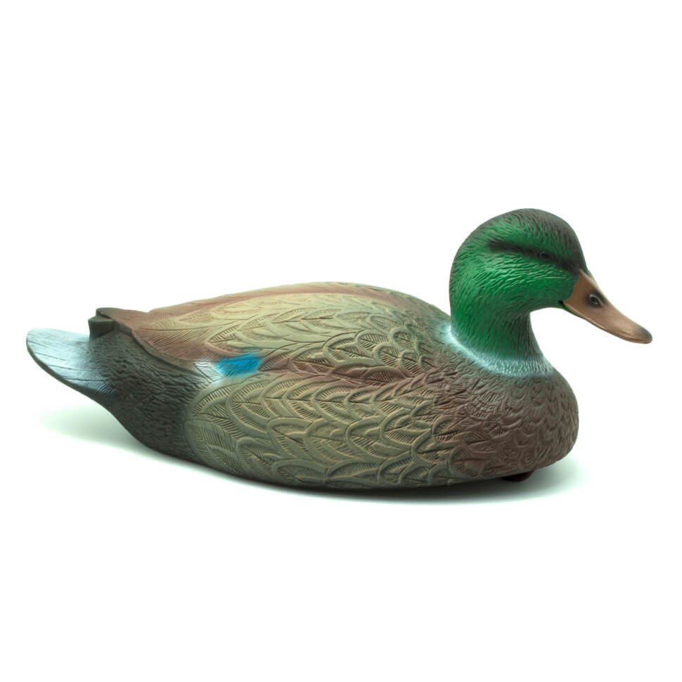 Чучело селезень "Кряква"