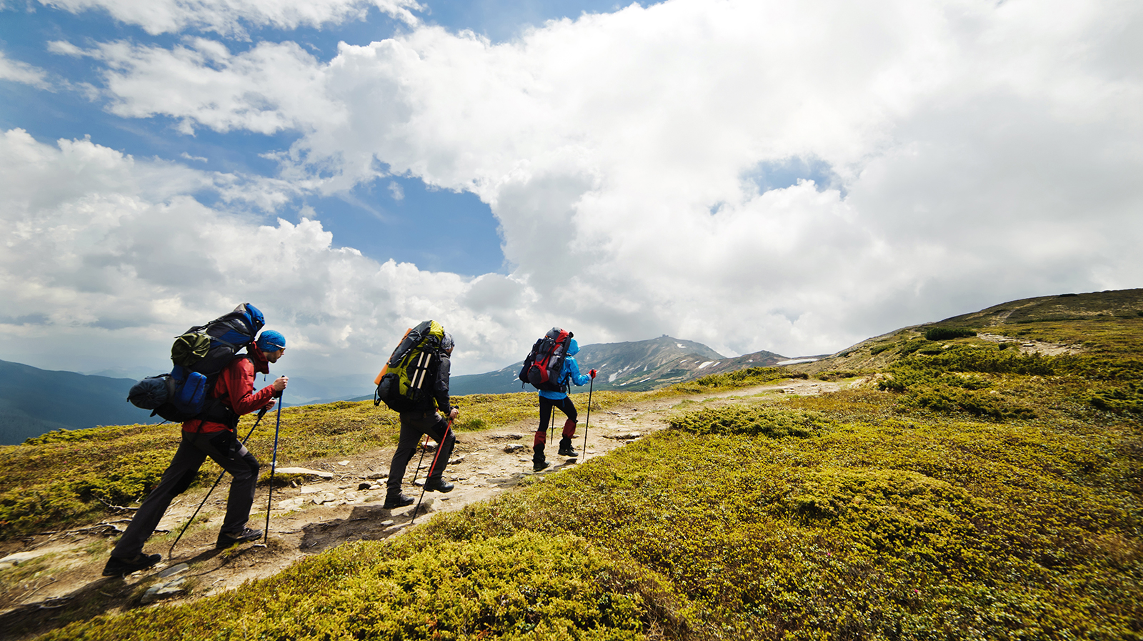 Рюкзак Normal "Соло PRO"